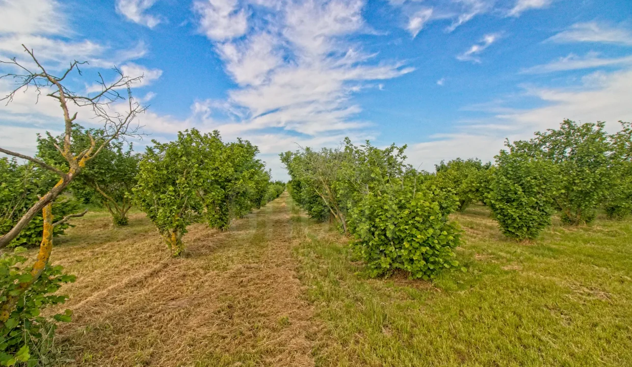 IMG_0409_HDR_Export