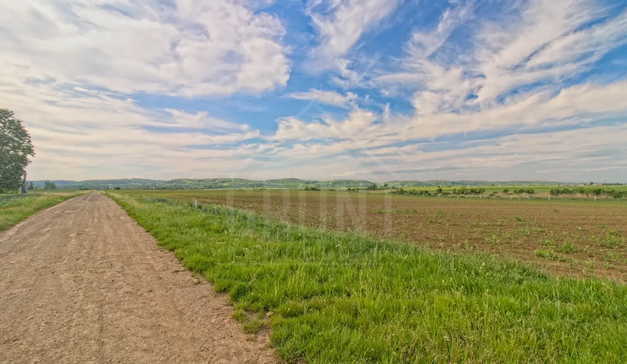 IMG_0419_HDR_Export