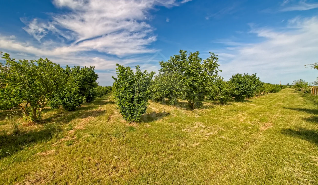 IMG_0459_HDR_Export