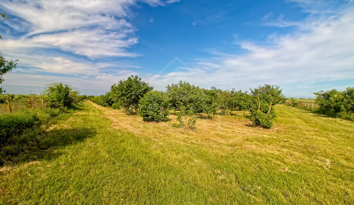 IMG_0464_HDR_Export
