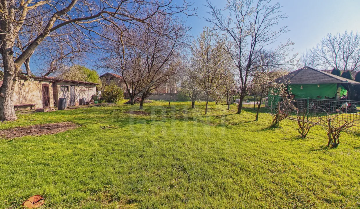 batch_IMG_2807_HDR_Export