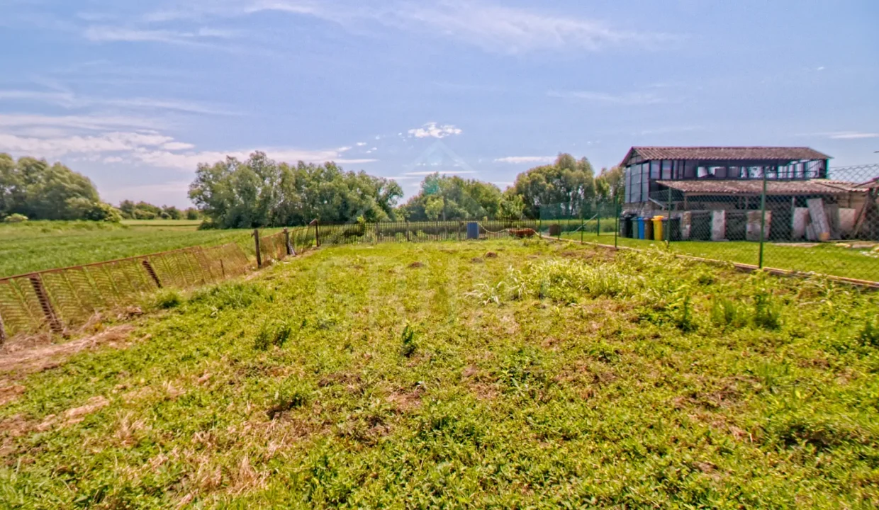 batch_IMG_3437_HDR_Export