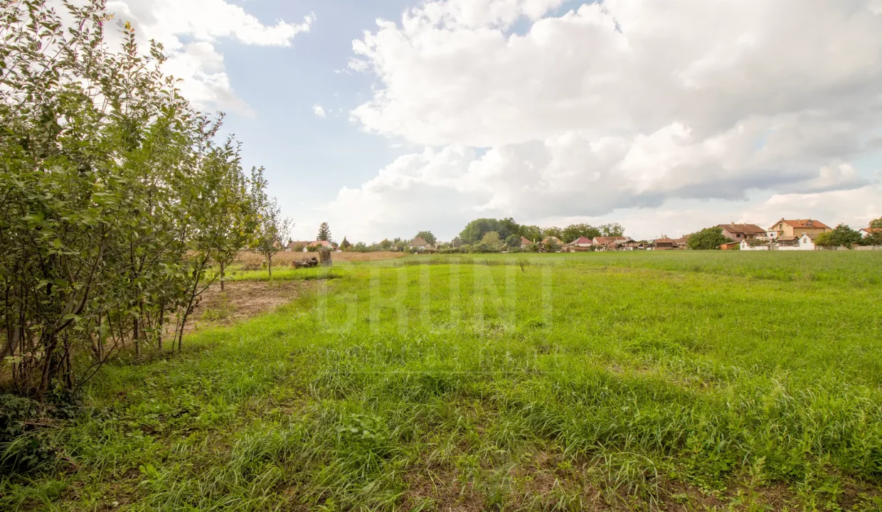 batch_Untitled_HDR-28