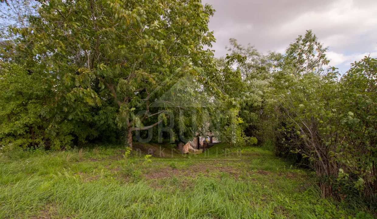 batch_Untitled_HDR-30