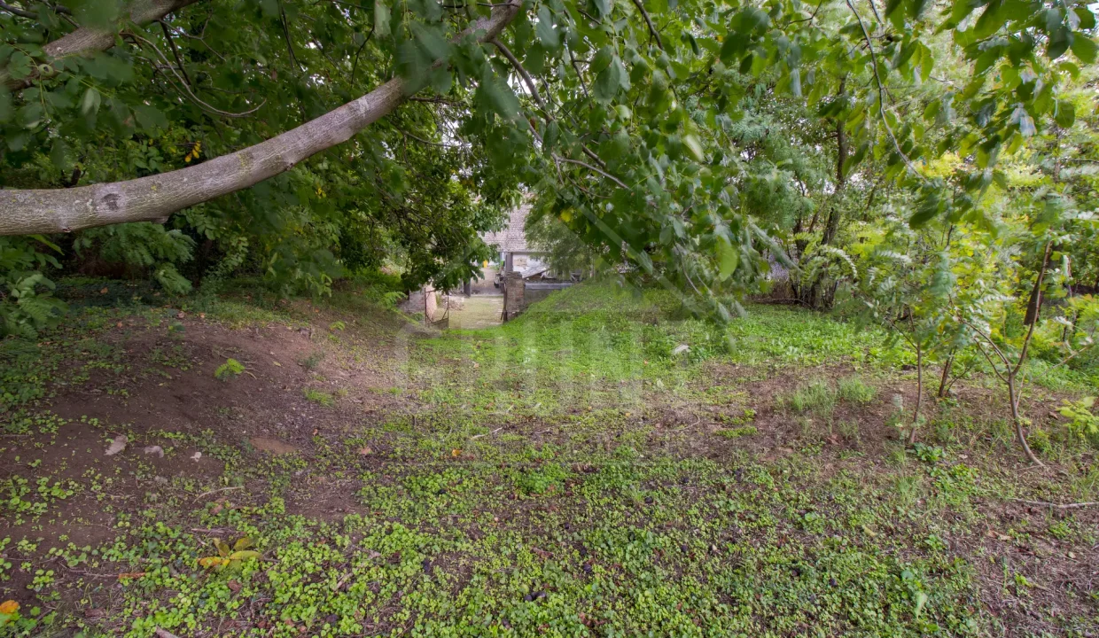 batch_Untitled_HDR-32