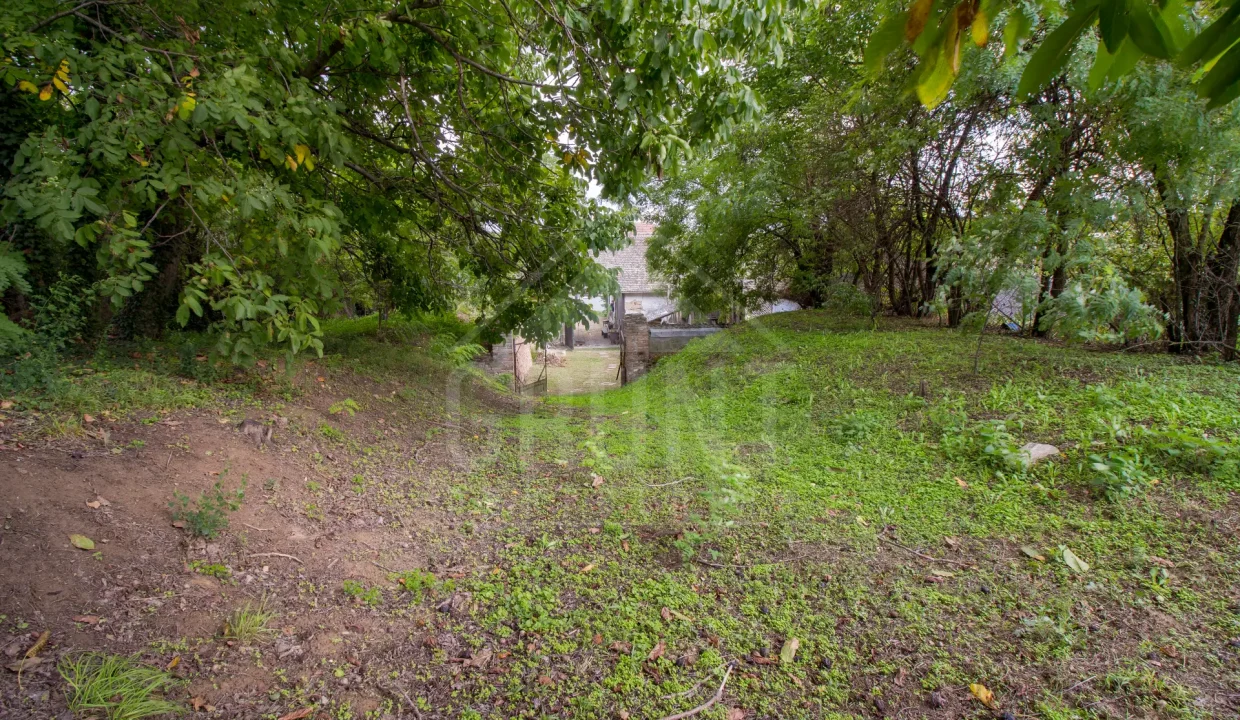 batch_Untitled_HDR-34
