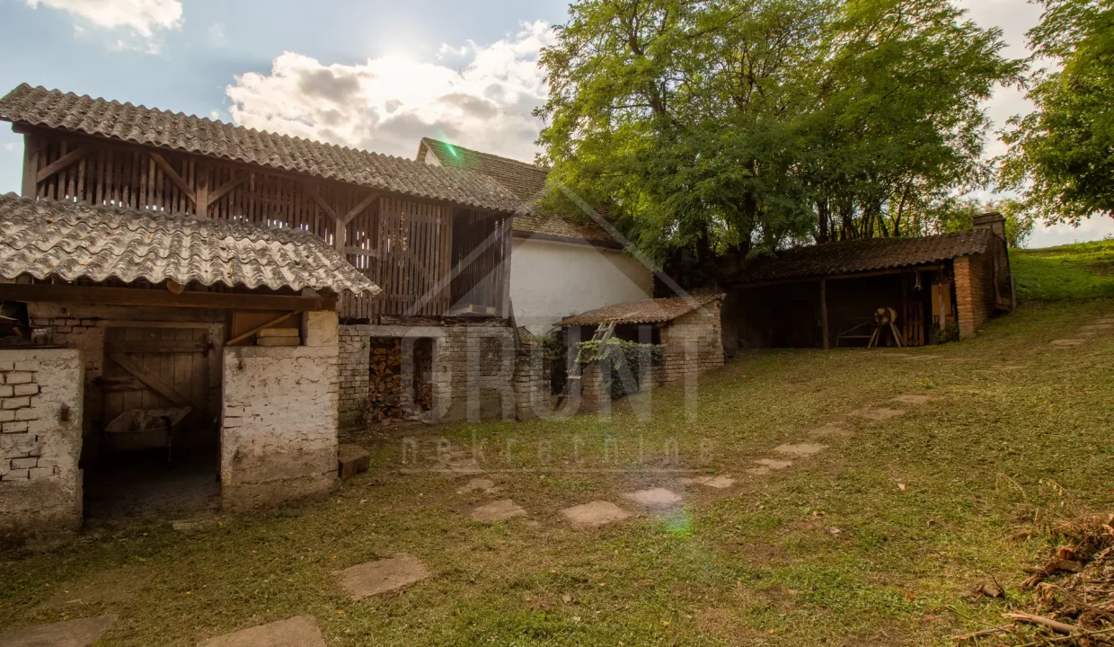 batch_Untitled_HDR-42