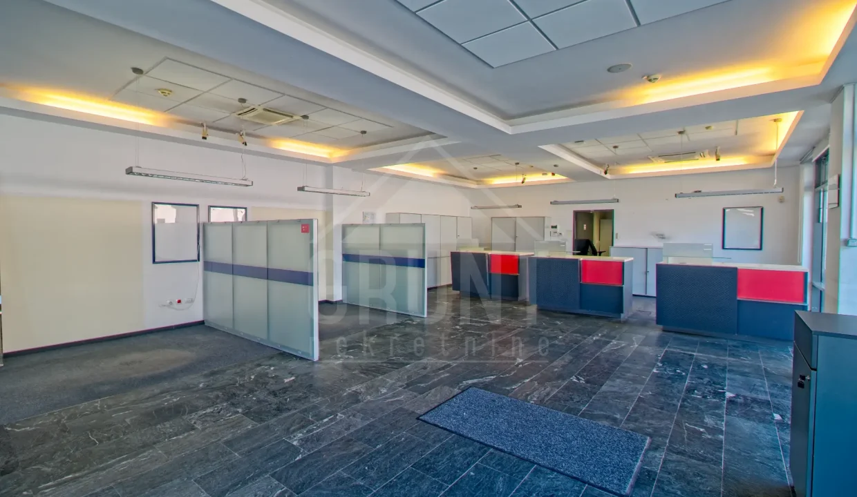 batch_IMG_3572_HDR_Export