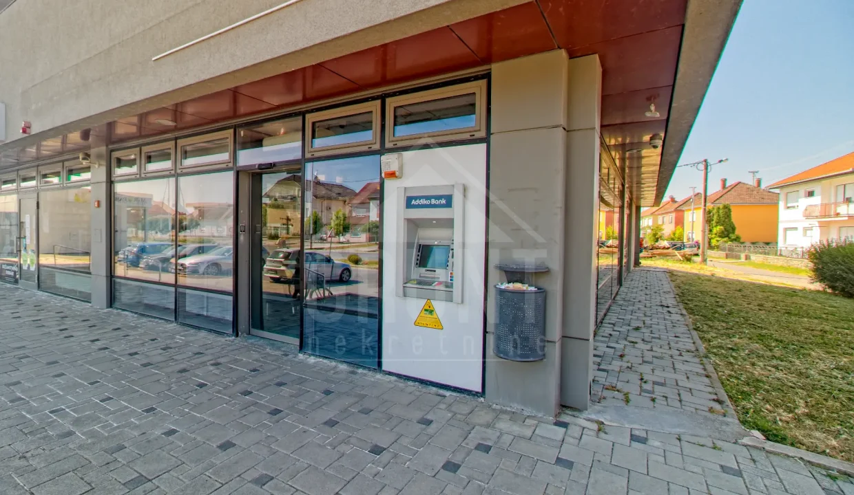 batch_IMG_3667_HDR_Export