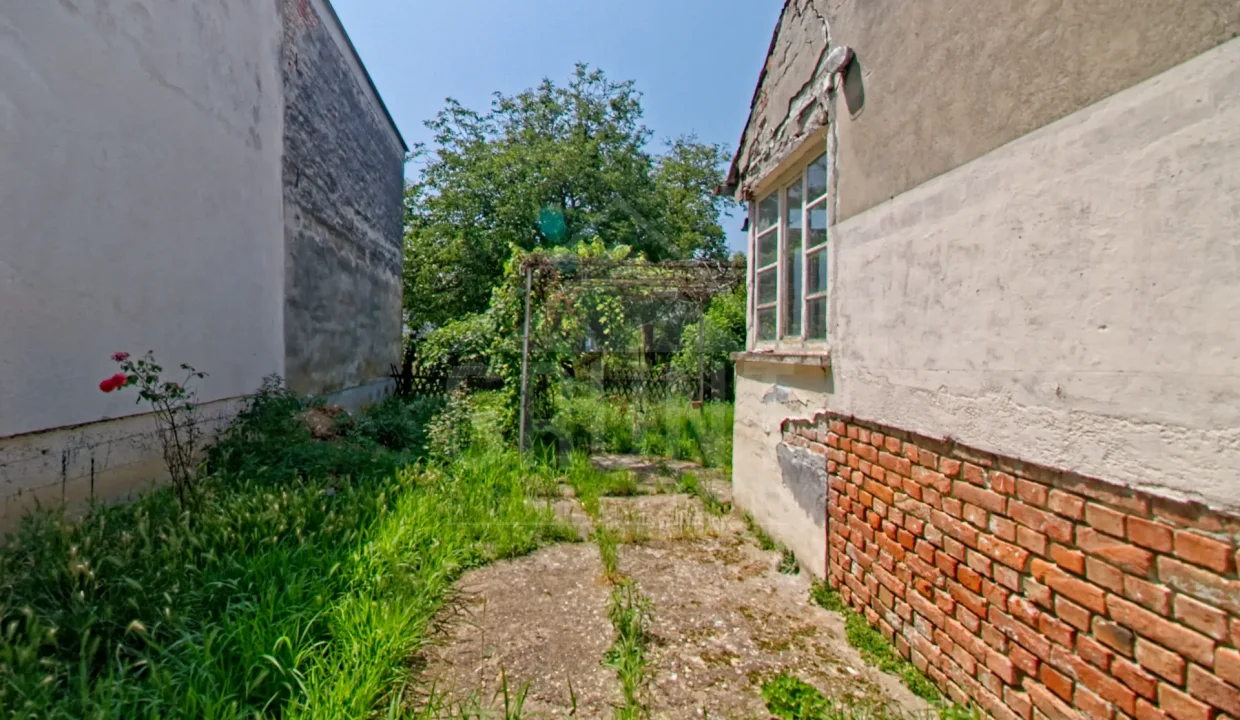 batch_IMG_3807_HDR_Export