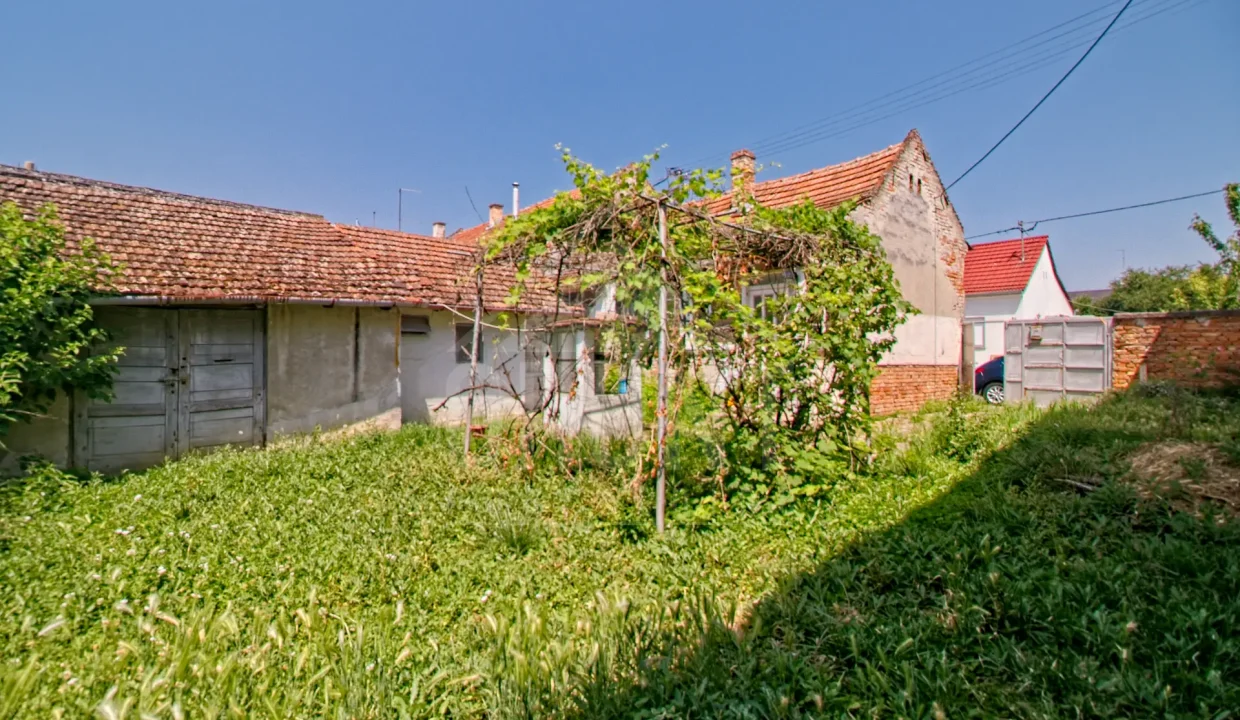 batch_IMG_3812_HDR_Export