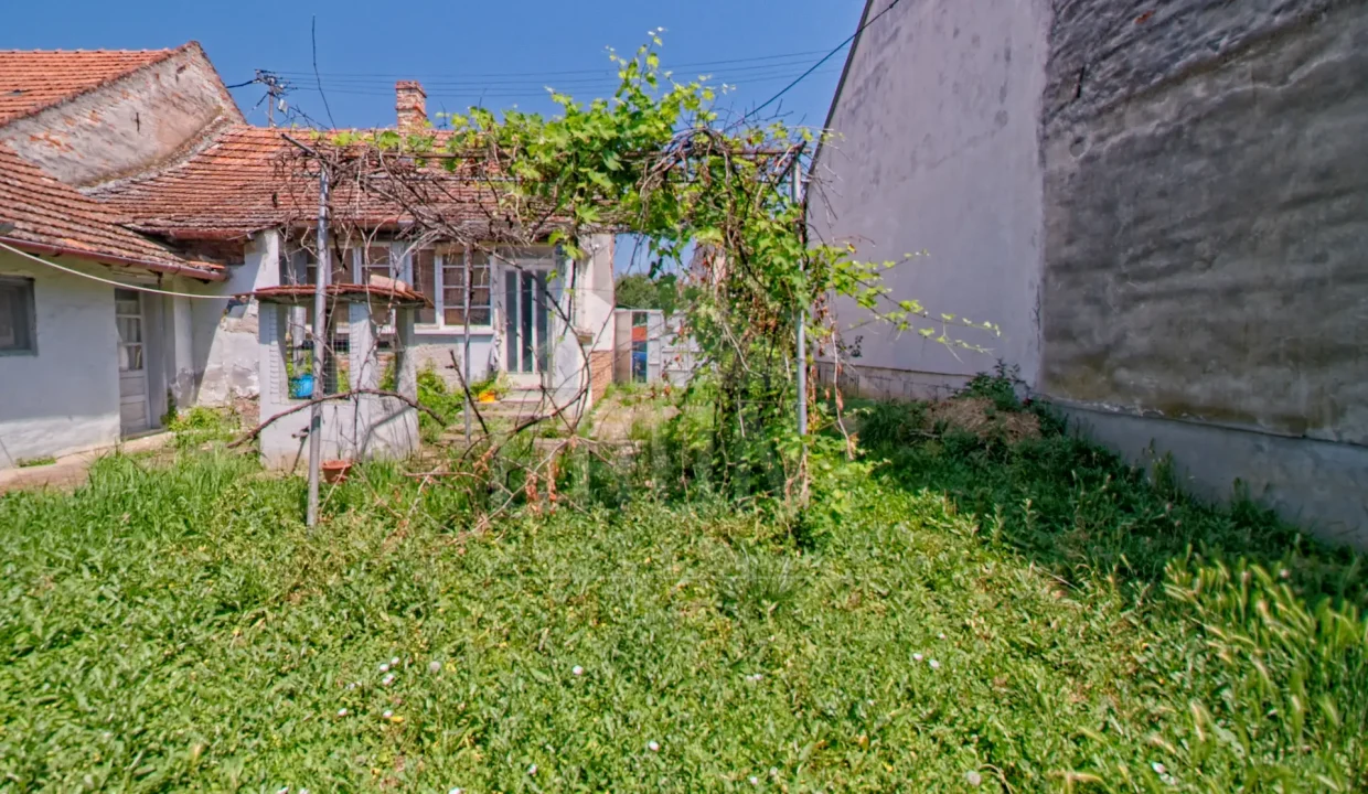 batch_IMG_3817_HDR_Export