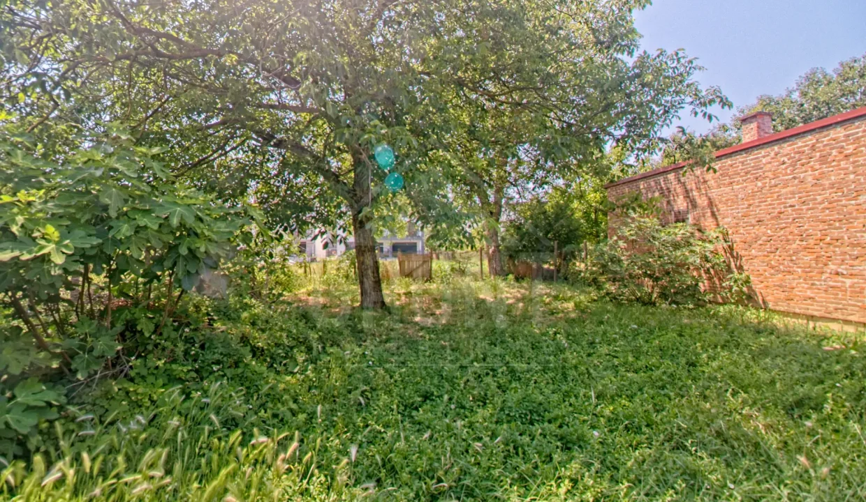 batch_IMG_3822_HDR_Export