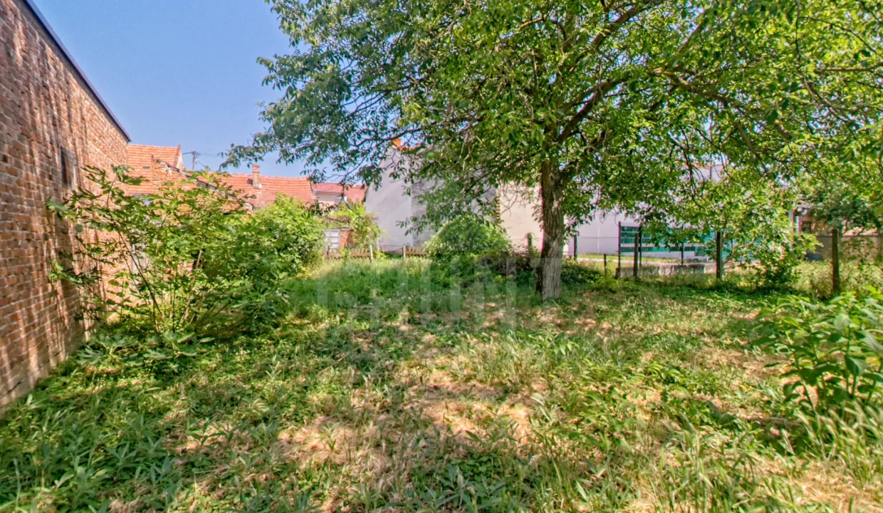 batch_IMG_3832_HDR_Export