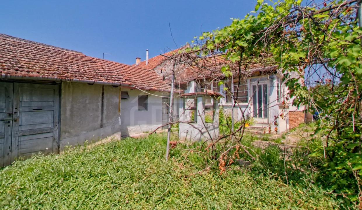 batch_IMG_3837_HDR_Export