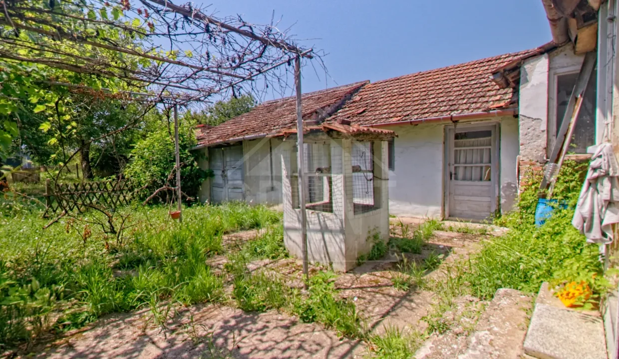 batch_IMG_3842_HDR_Export