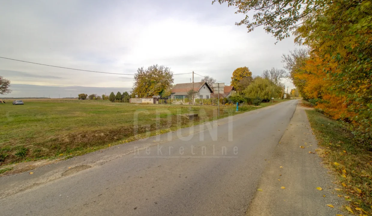 batch_IMG_5017_18_19_20_21