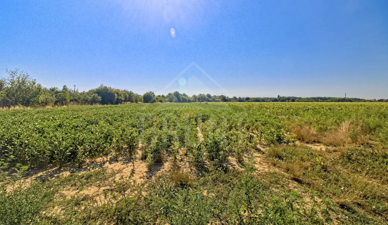 batch_IMG_4047_HDR_Export 1