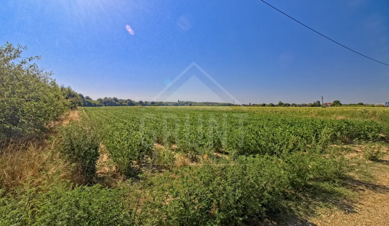 batch_IMG_4052_HDR_Export