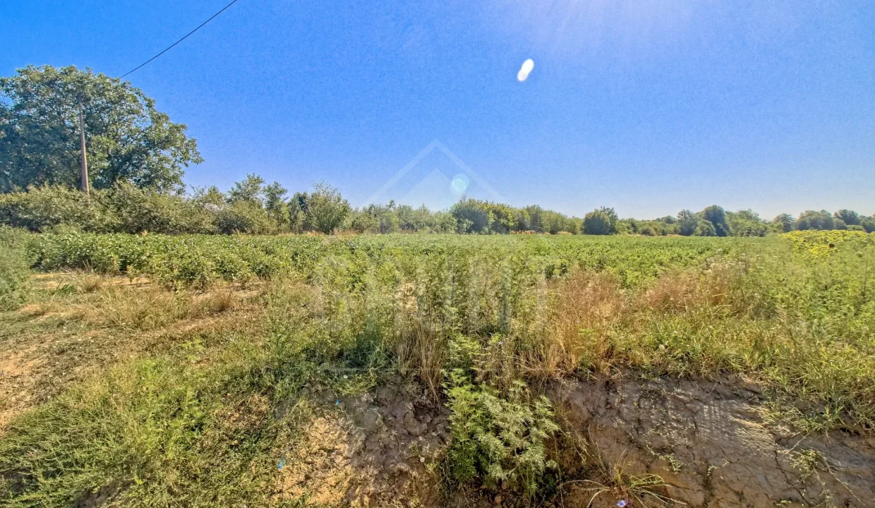 batch_IMG_4062_HDR_Export