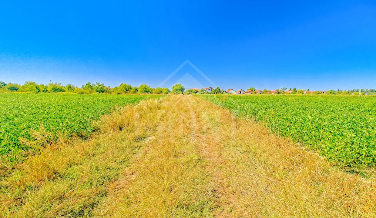 batch_IMG_4072_HDR_Export