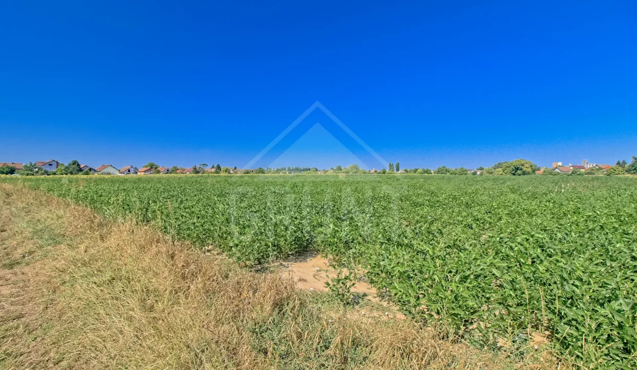 batch_IMG_4077_HDR_Export