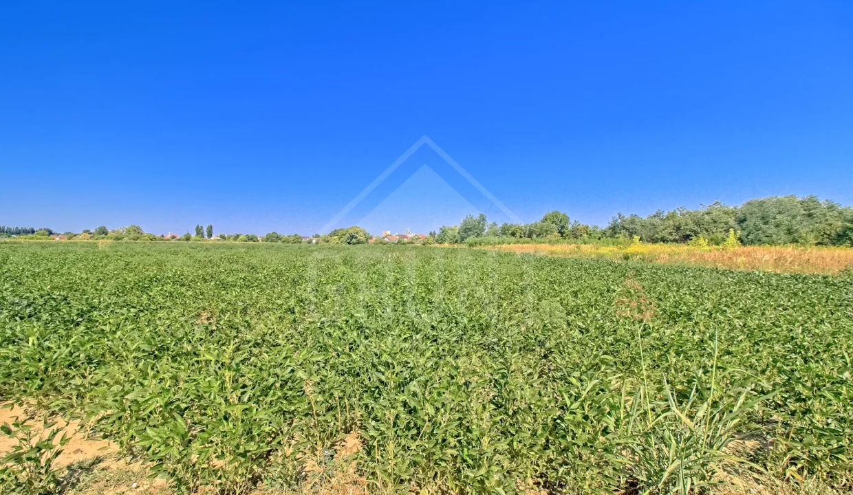 batch_IMG_4082_HDR_Export