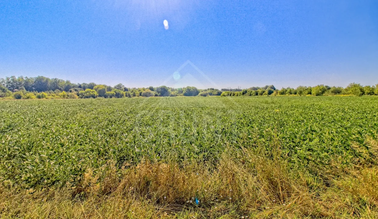 batch_IMG_4087_HDR_Export