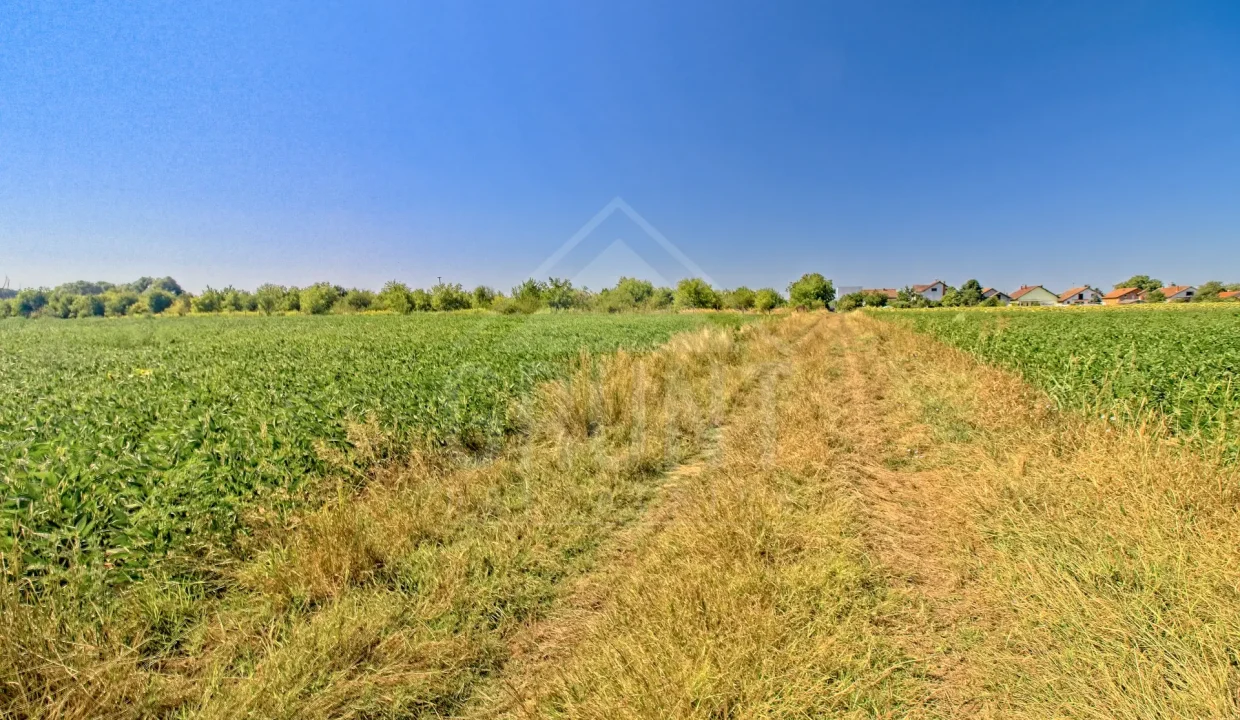 batch_IMG_4092_HDR_Export