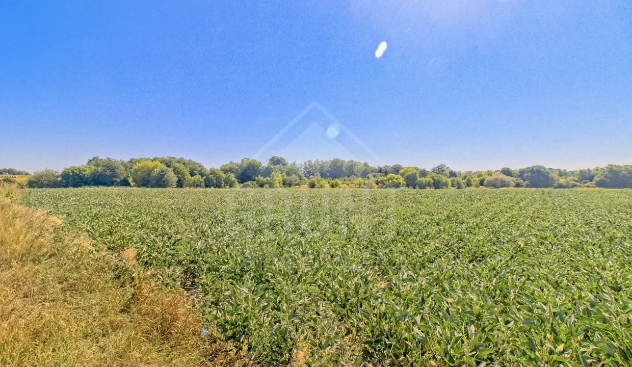 batch_IMG_4097_HDR_Export