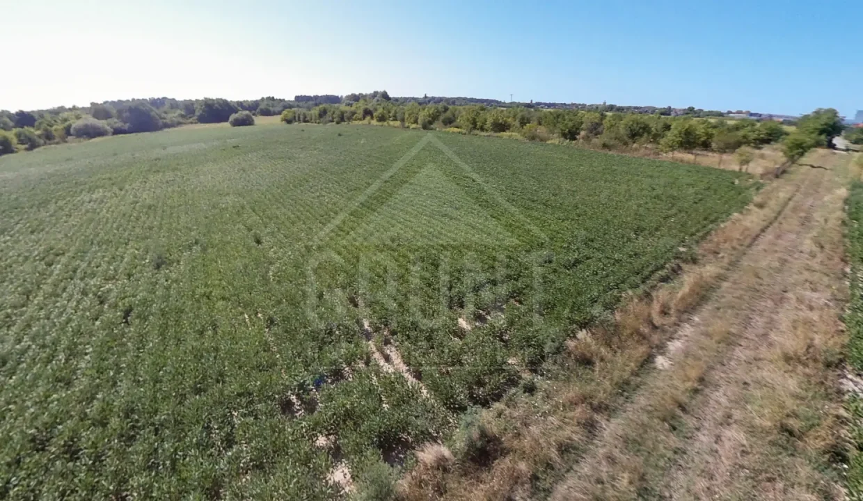 batch_batch_PANO_IMG_20250801_094823