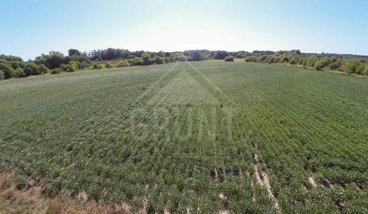 batch_batch_PANO_IMG_20250801_094823(1)