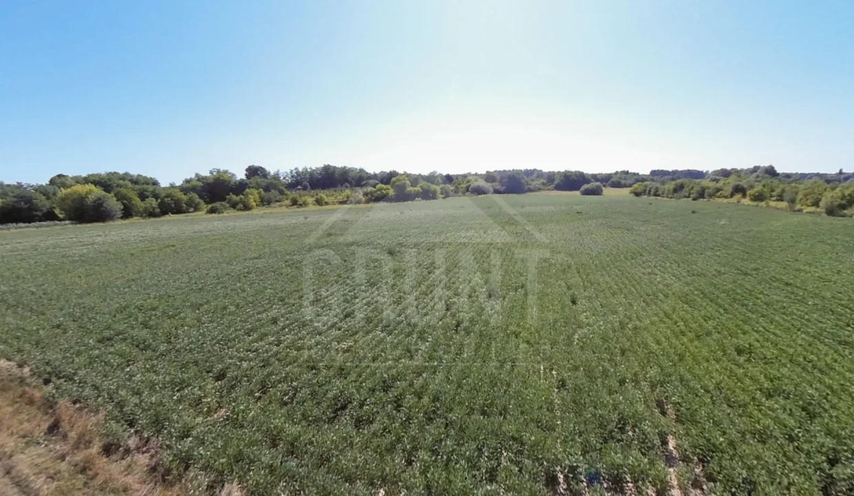 batch_batch_PANO_IMG_20250801_094823(2)