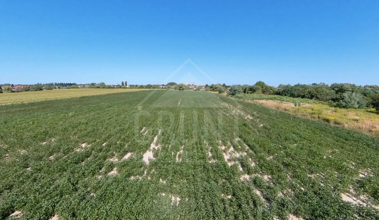 batch_batch_PANO_IMG_20250801_094823(4)