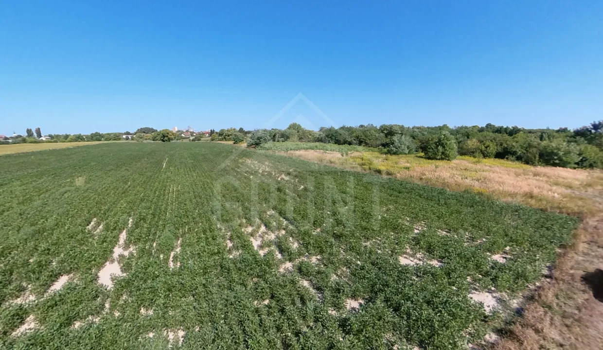 batch_batch_PANO_IMG_20250801_094823(5)