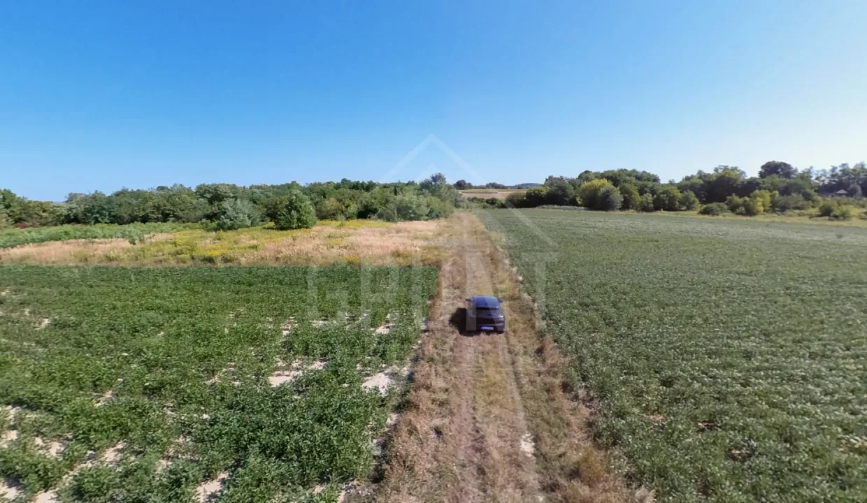 batch_batch_PANO_IMG_20250801_094823(6)