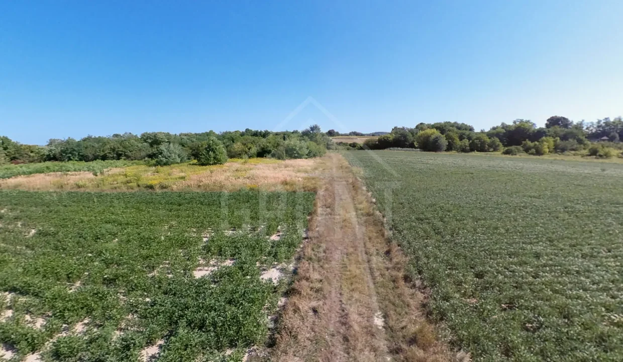 batch_viber_image_2025-10-15_13-27-10-884