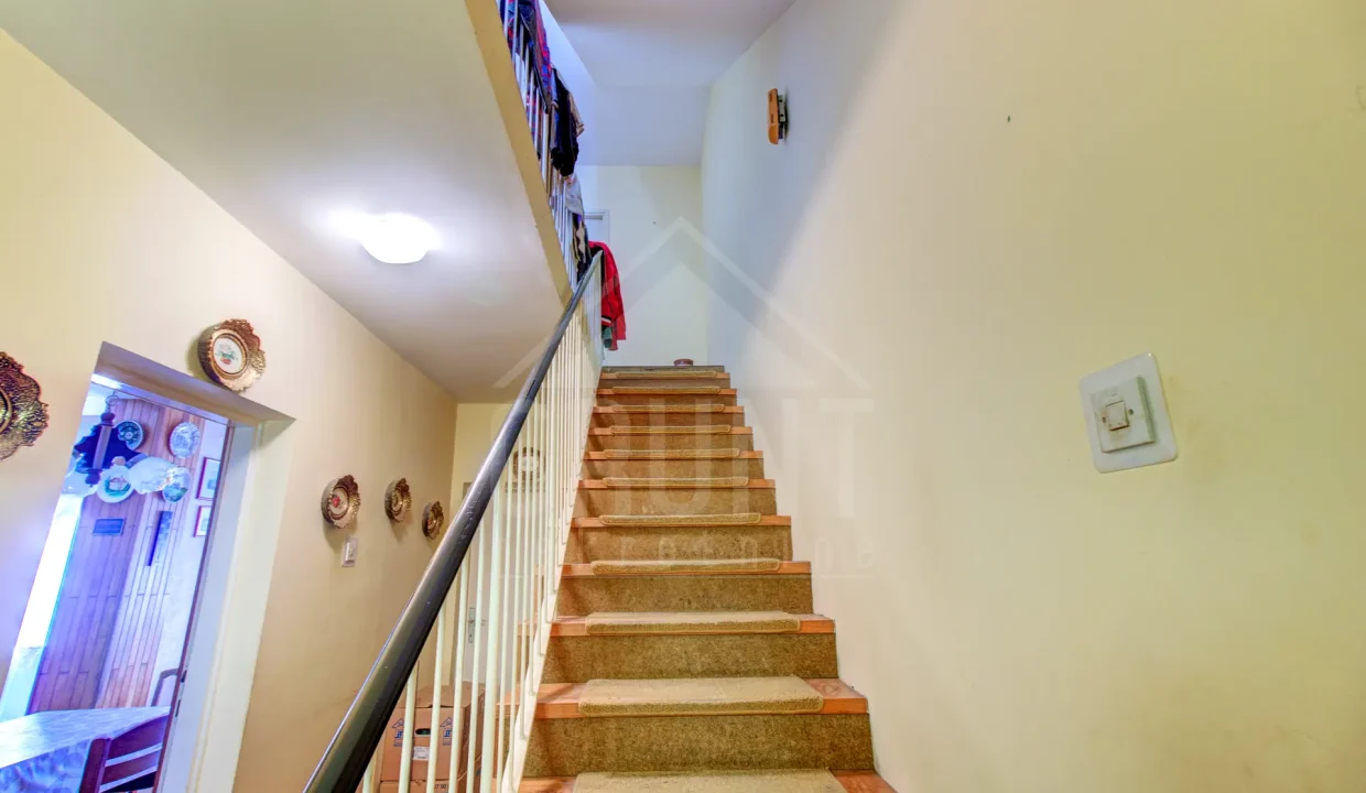 batch_IMG_5330_1_2_3_4