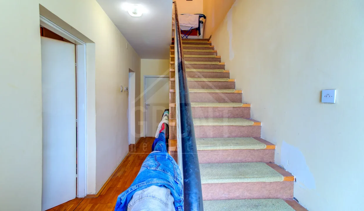 batch_IMG_5365_6_7_8_9