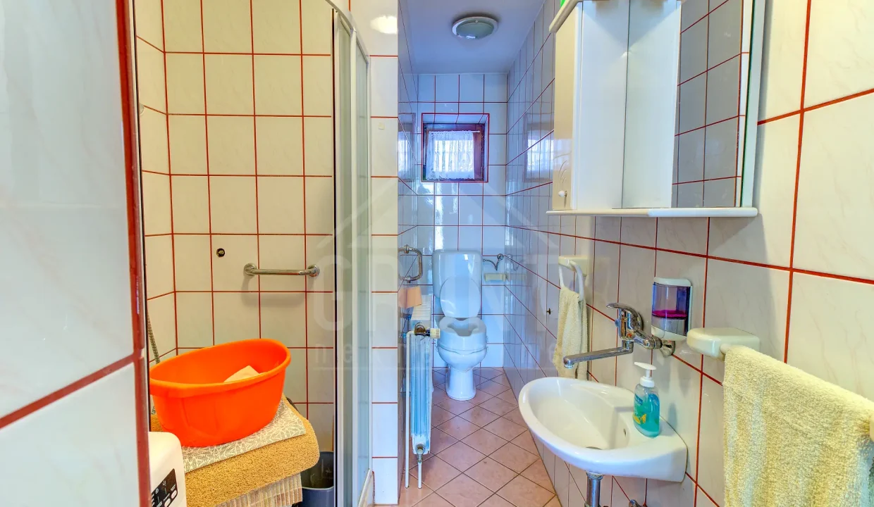 batch_IMG_5585_6_7_8_9