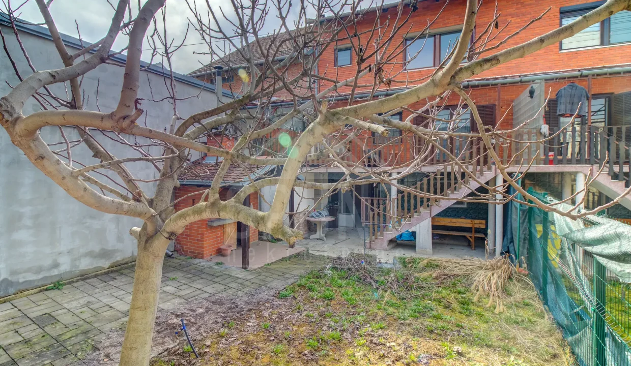 batch_IMG_5615_6_7_8_9