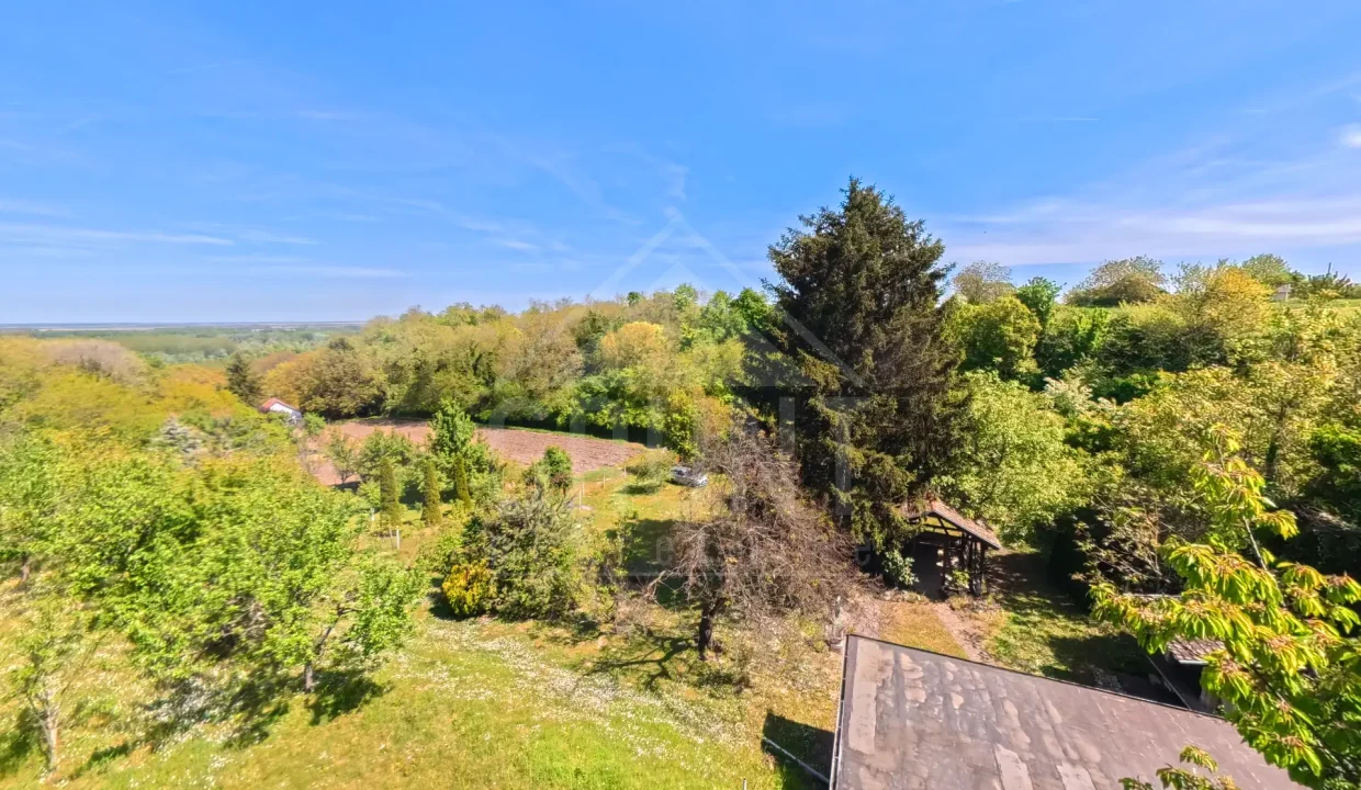 batch_IMG_20260425_114417_00_065