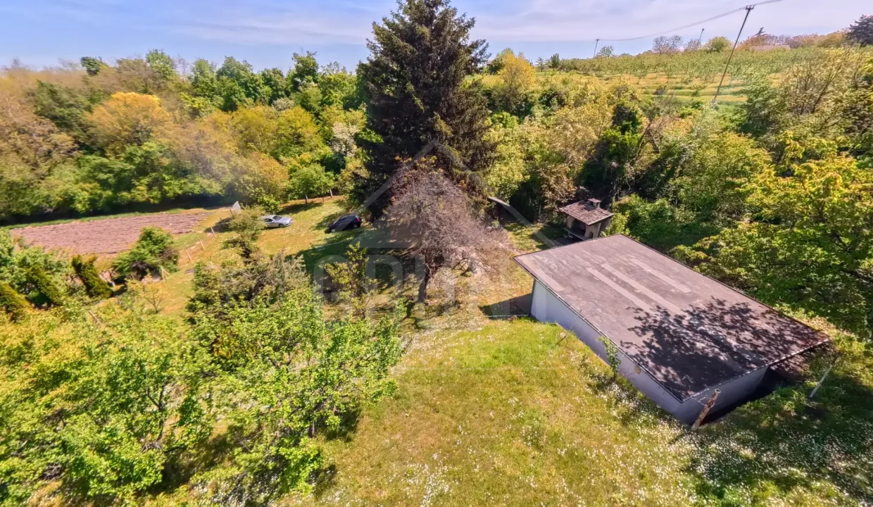 batch_IMG_20260425_114449_00_067