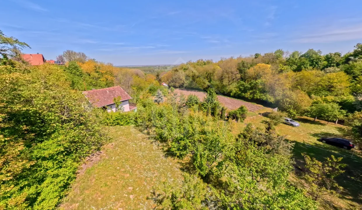 batch_IMG_20260425_114449_00_067(1)