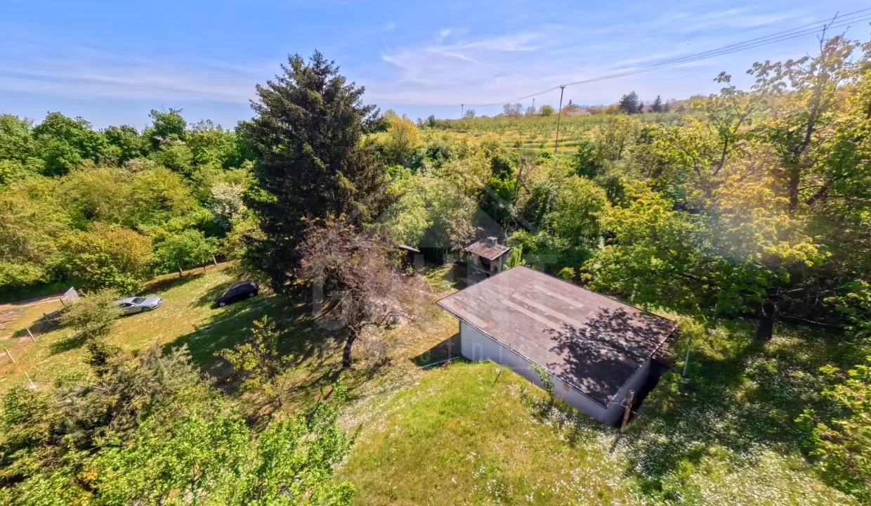 batch_IMG_20260425_114507_00_068