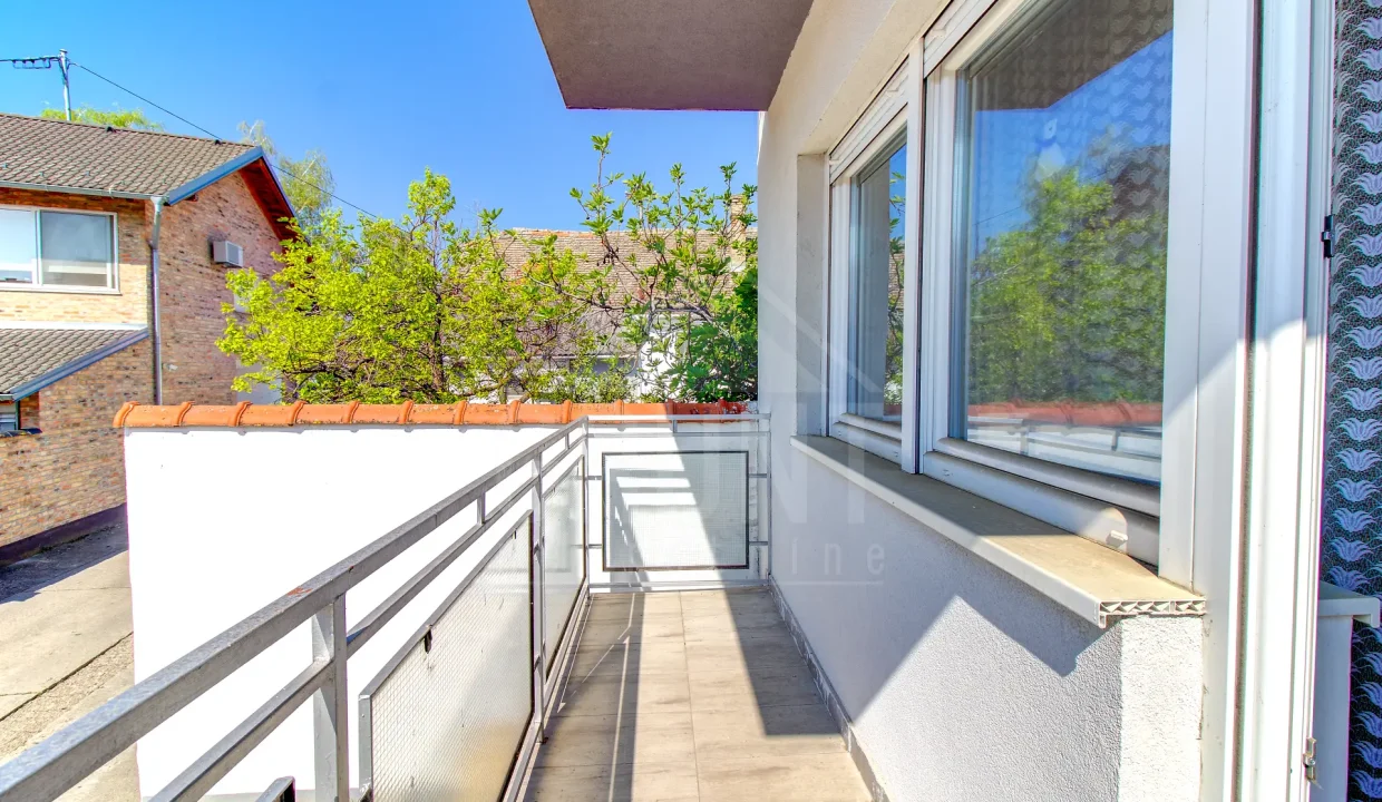 batch_IMG_6250_1_2_3_4