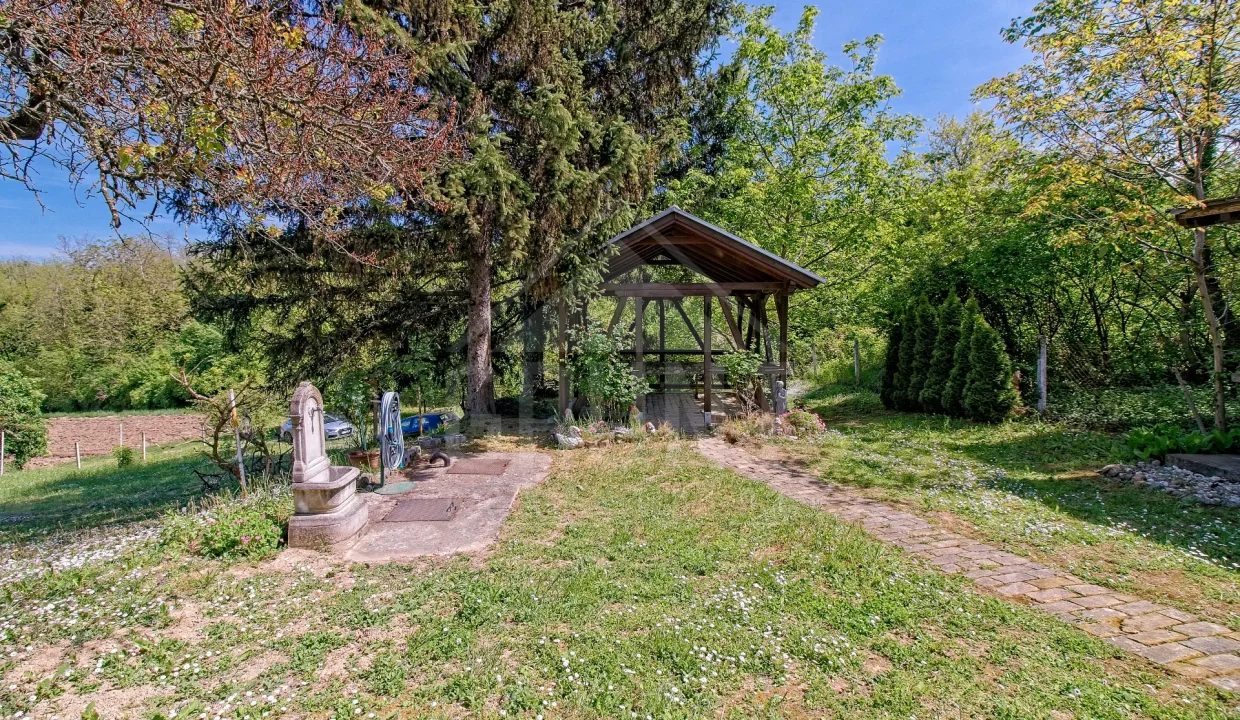 batch_IMG_6300_HDR copy_Export