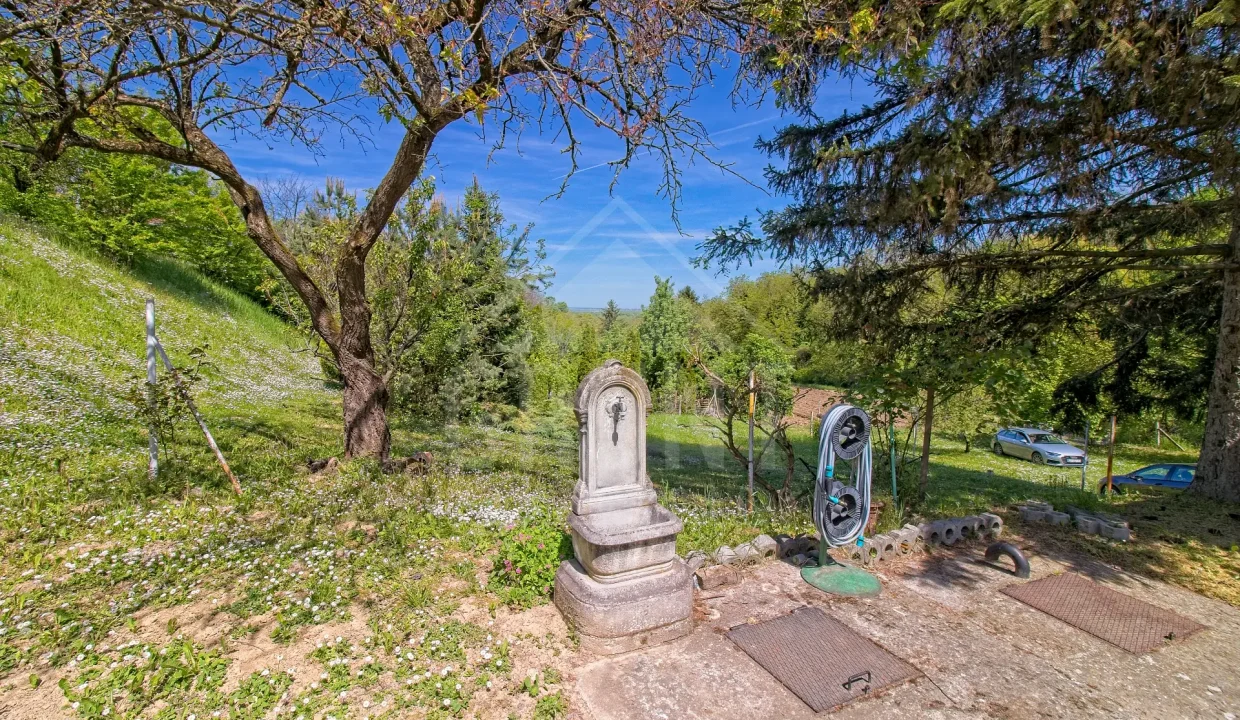 batch_IMG_6310_HDR_Export