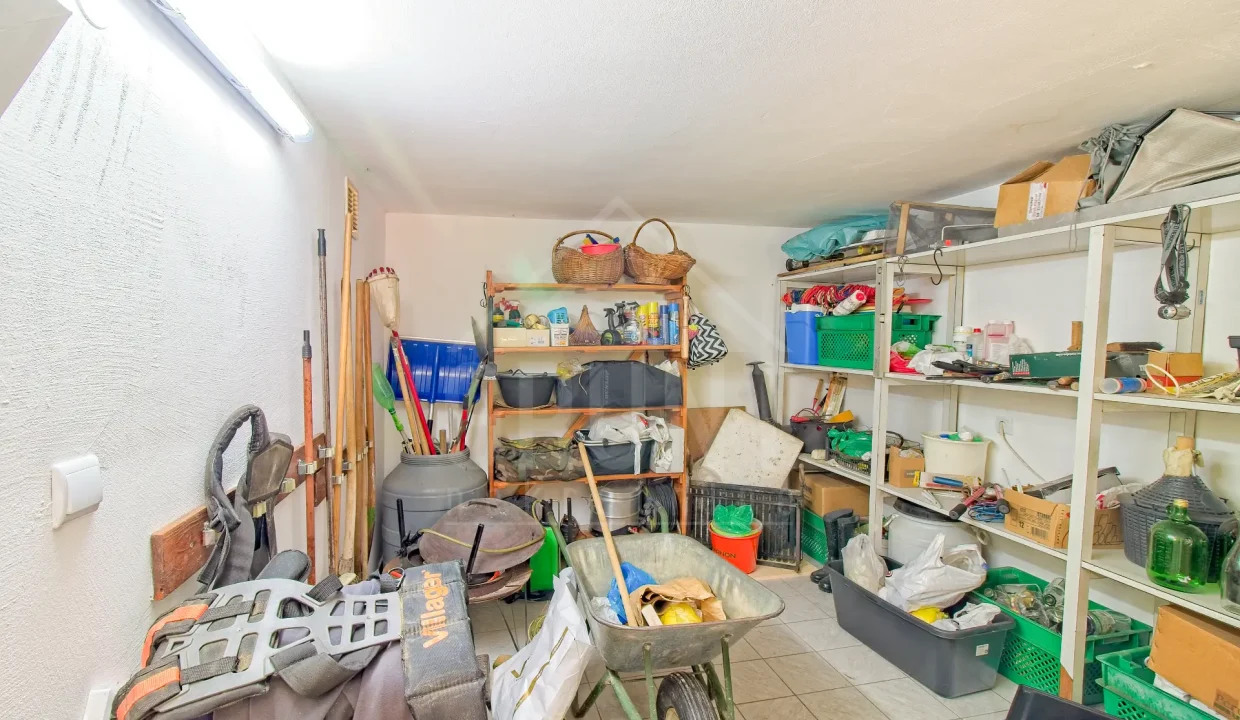 batch_IMG_6355_HDR_Export